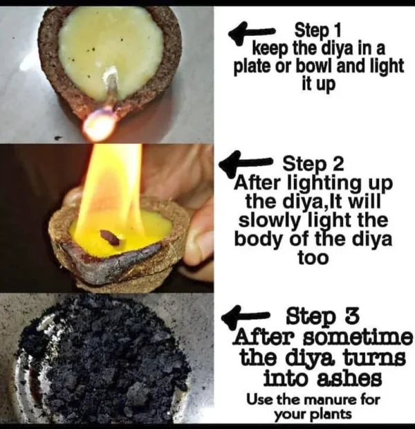 Panchagavya Diya (5 boxes x 10 each = 50 pcs) - Image 3